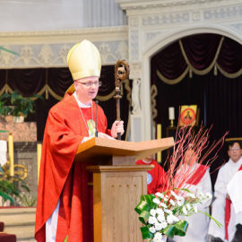Lễ Các Thánh Tử Đạo Việt Nam 2014