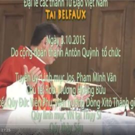 Vidéo Lễ Các Thánh Tử Đạo Việt Nam 2015