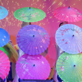 Tết Mậu Tuất 2018 Fribourg