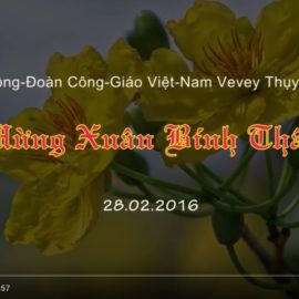 Vidéo Tết Bính Thân 2016 Vevey