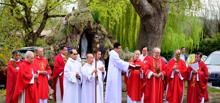 Tĩnh tâm & Lễ lá Giáo đoàn 2025