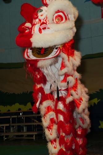 DSC09176